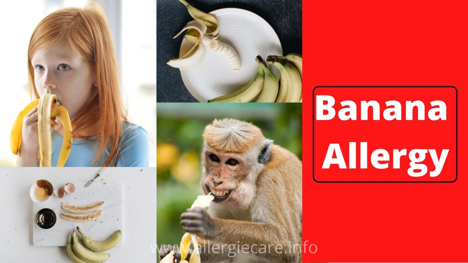 Banana allergy and how to safe from It Allergie Care