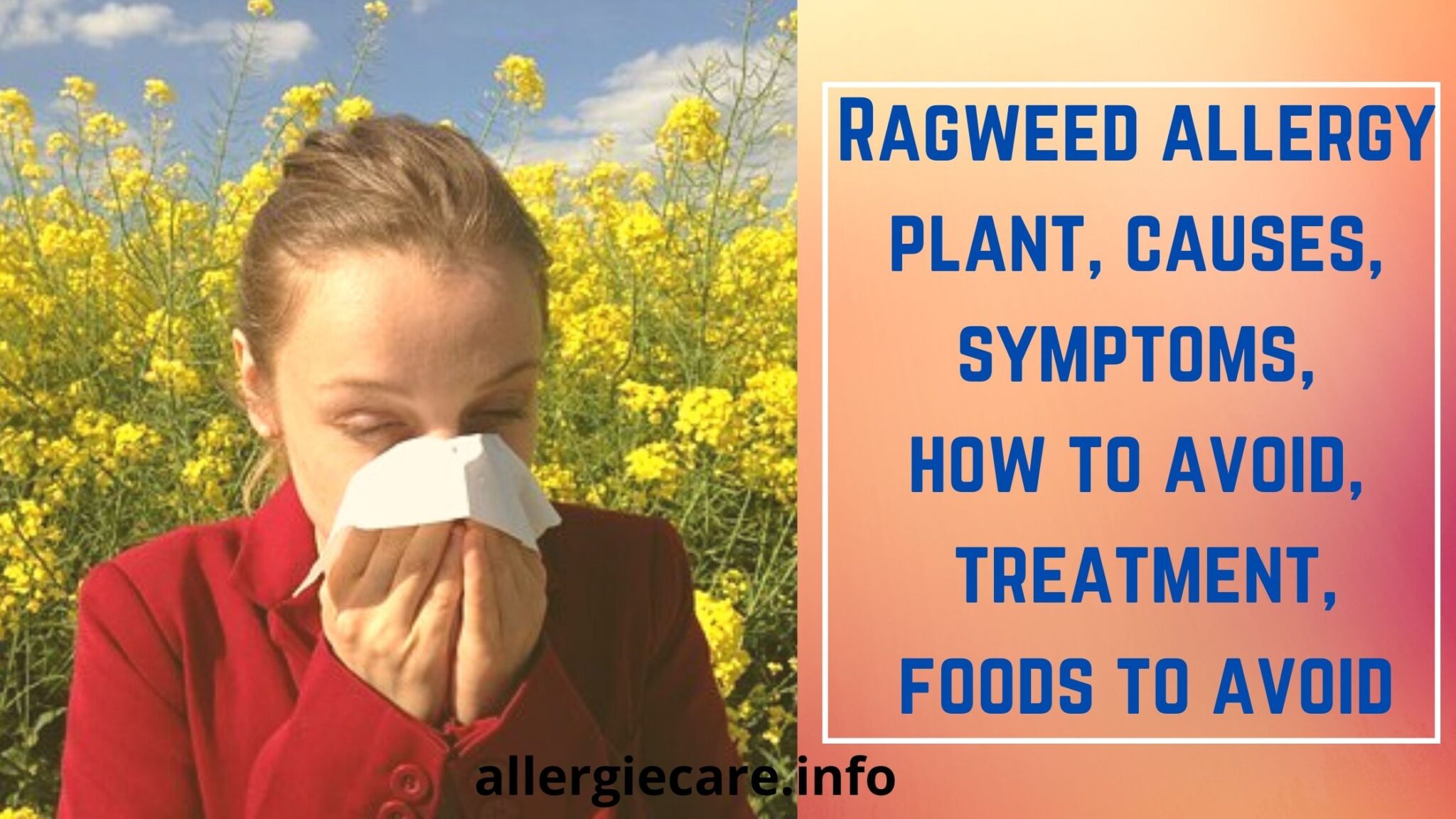 Ragweed Allergy Plant Causes Symptoms And More Allergie Care Ragweed Allergy Plant Causes Symptoms And More Allergie Care