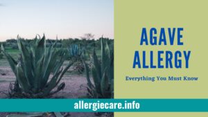 Read more about the article Agave Allergy 10 common Symptoms, How to Treatment?