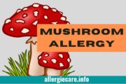 Unknown 7 hidden Fact about Mushroom Allergy